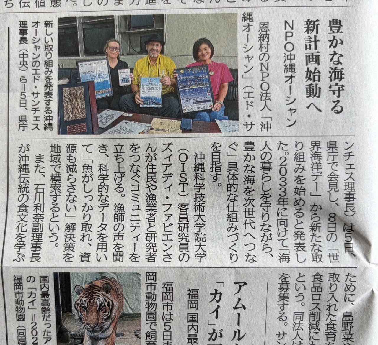 Okinawa Times article — June 6, 2026: NPO法人Okinawa O.C.E.A.N. announces new marine conservation plan